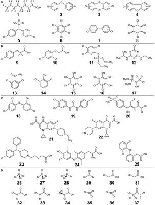 Flux, Impact, and Fate of Halogenated Xenobiotic Compounds in the Gut